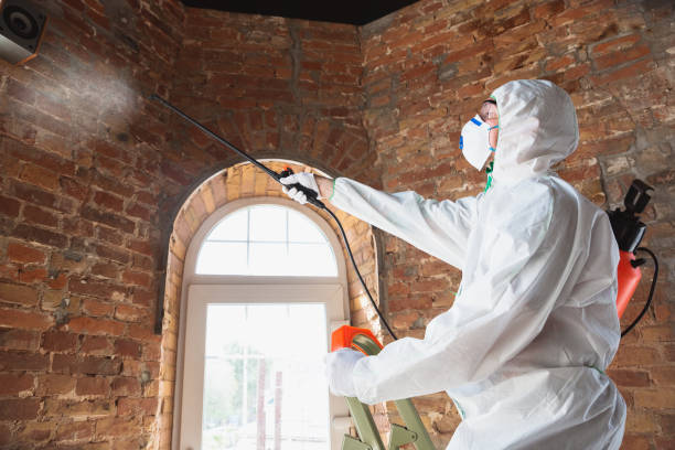 Best Asbestos and Lead Testing During Mold Inspection  in Highwood, IL